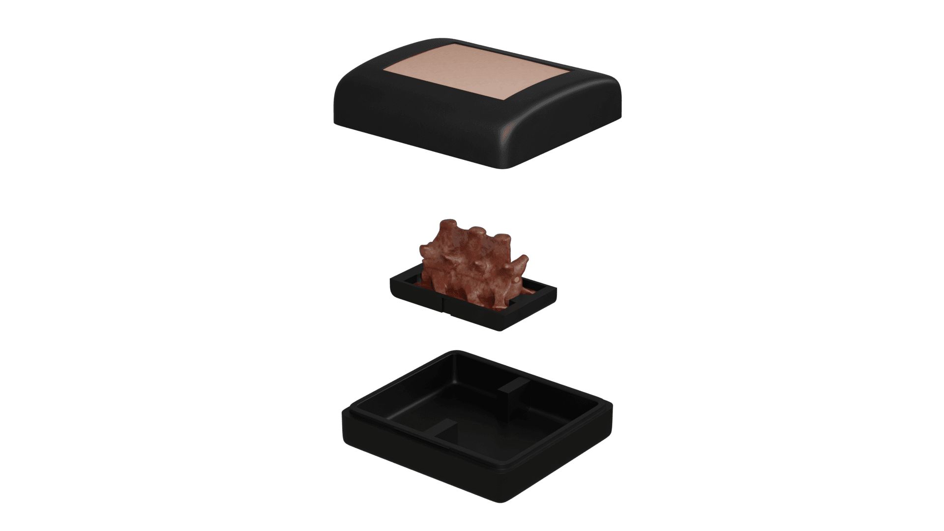 Spine Surgery Simulator