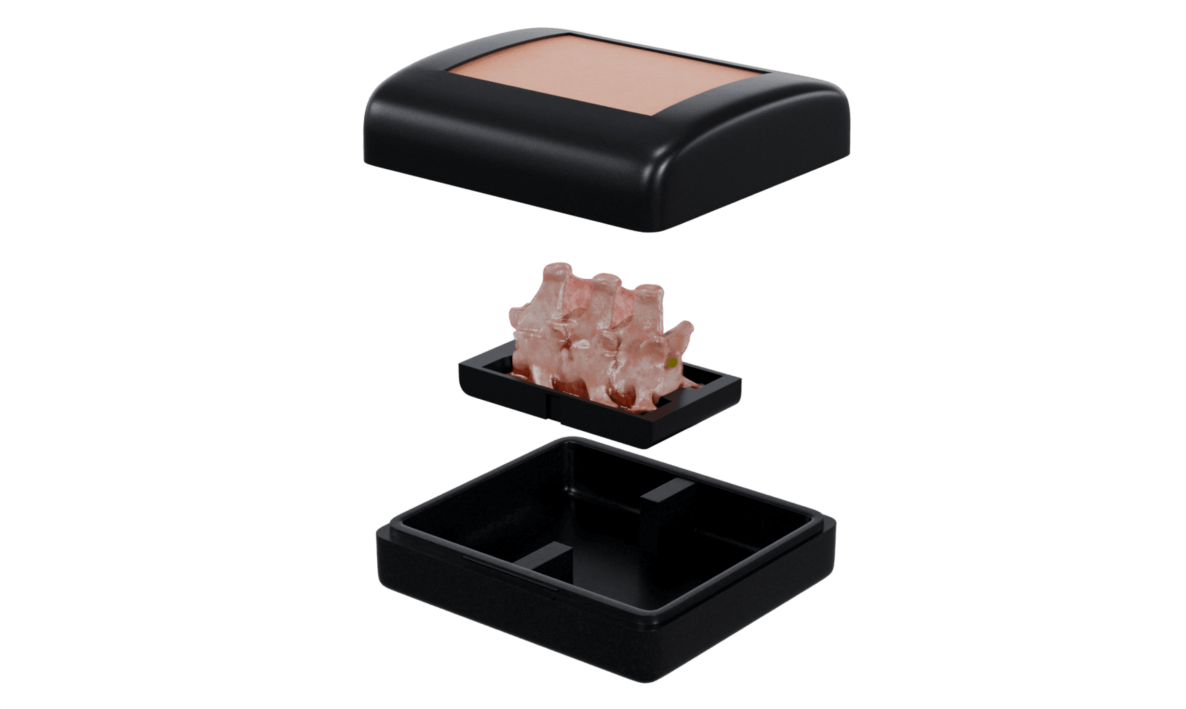 ByKayle Spine Surgery Simulator Exploded View